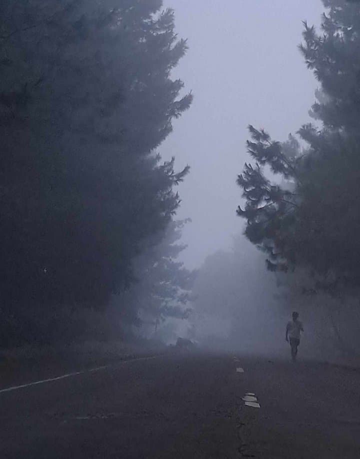 Foggy minimalist road